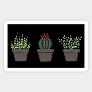 Cactus Sticker